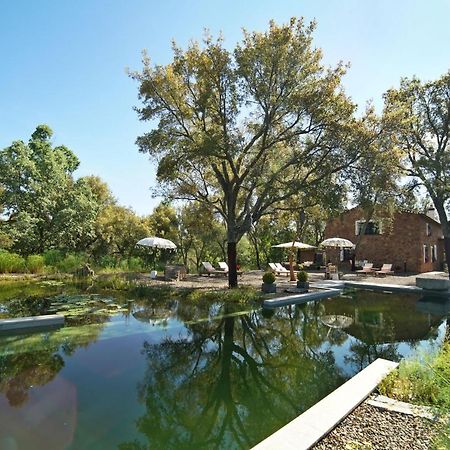 Valle del Arroyo Casas Rurales - B&B - Solo adultos Cortelazor Esterno foto