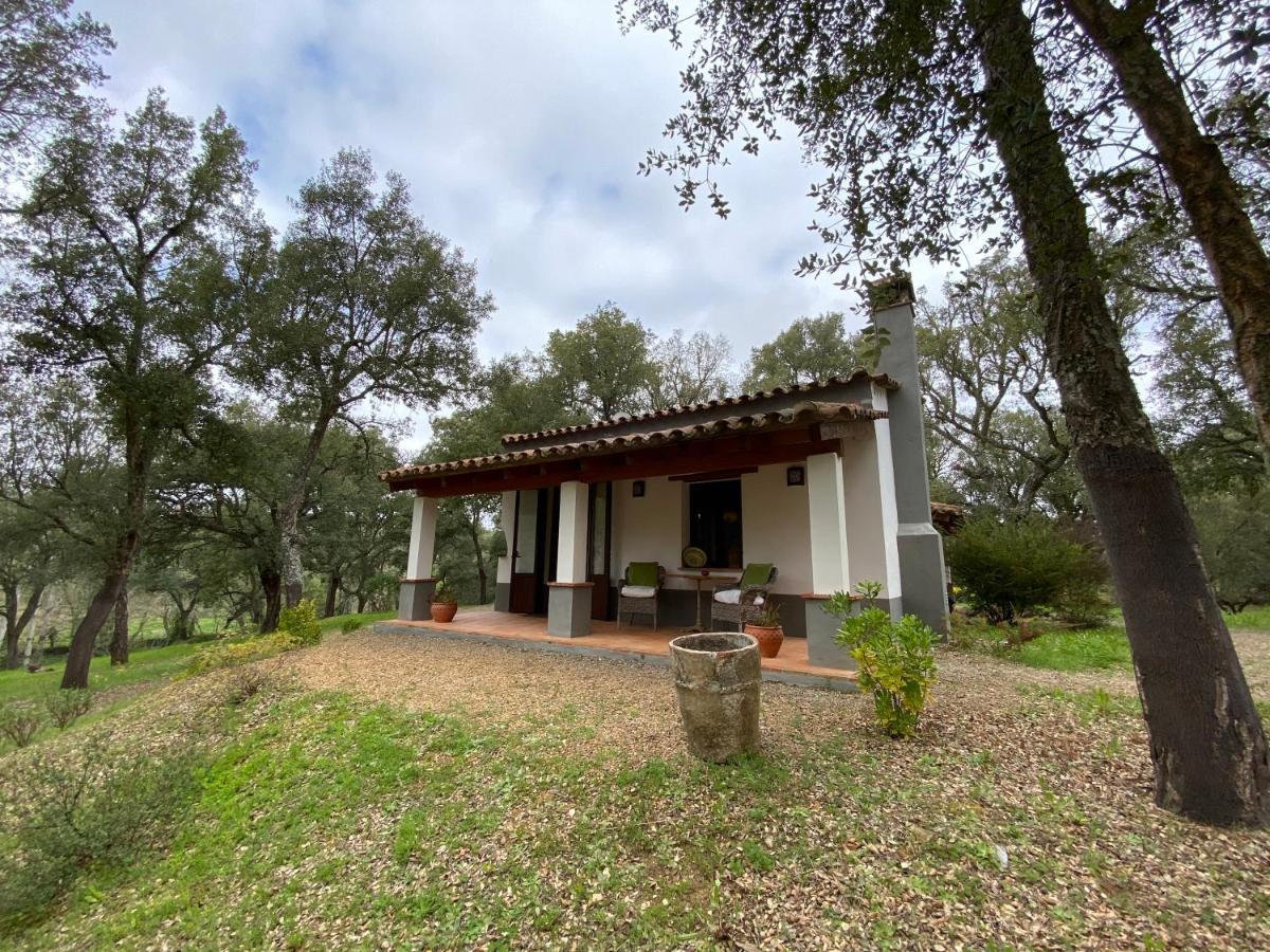 Valle del Arroyo Casas Rurales - B&B - Solo adultos Cortelazor Esterno foto