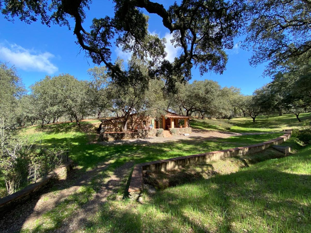 Valle del Arroyo Casas Rurales - B&B - Solo adultos Cortelazor Esterno foto