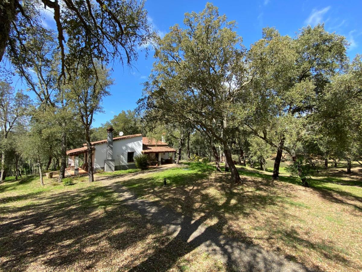 Valle del Arroyo Casas Rurales - B&B - Solo adultos Cortelazor Esterno foto