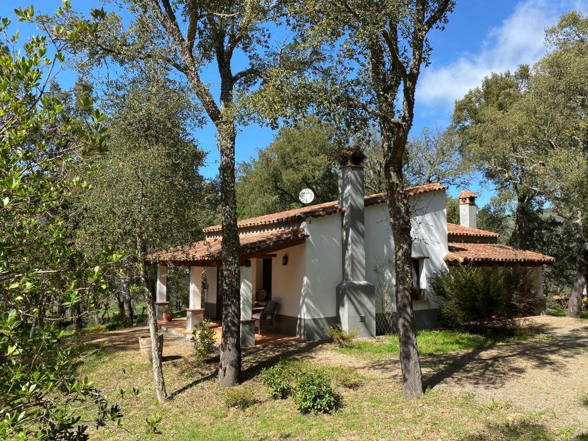 Valle del Arroyo Casas Rurales - B&B - Solo adultos Cortelazor Esterno foto